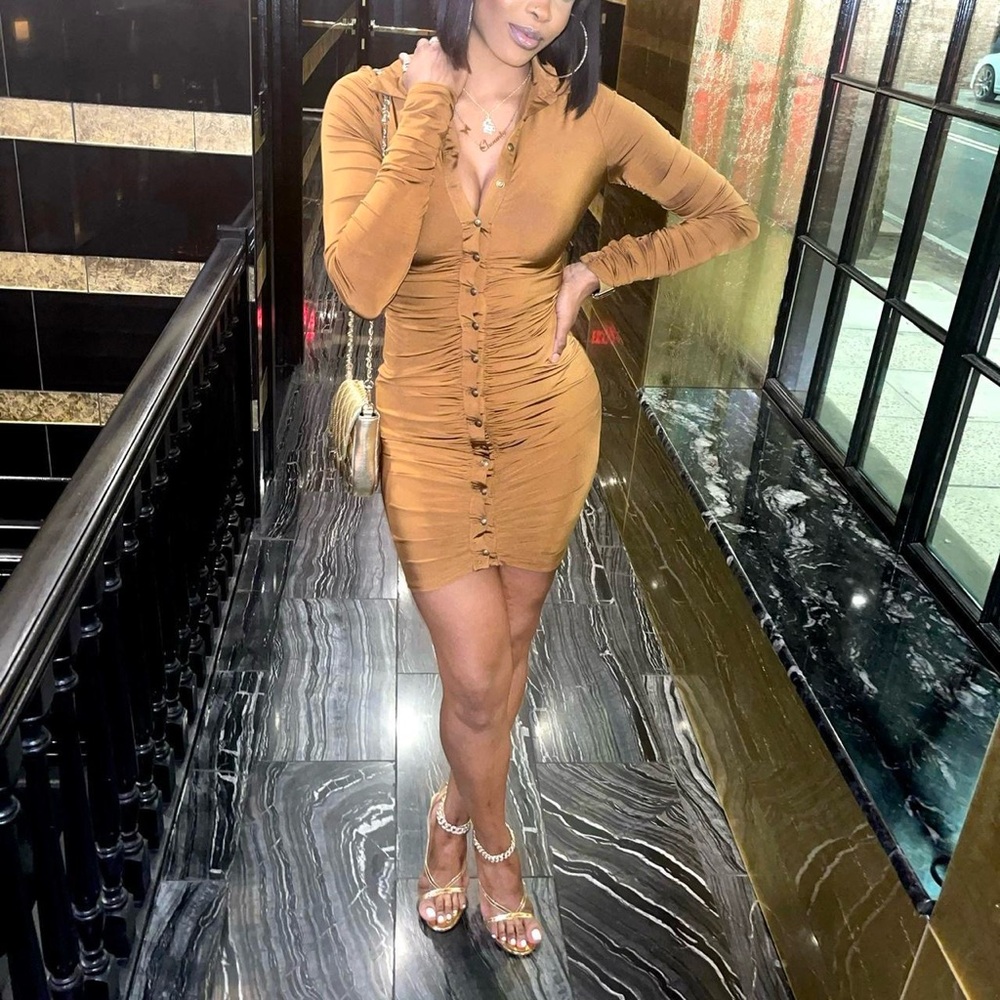 Elegant Long-Sleeve Button-Down Dress in Tan